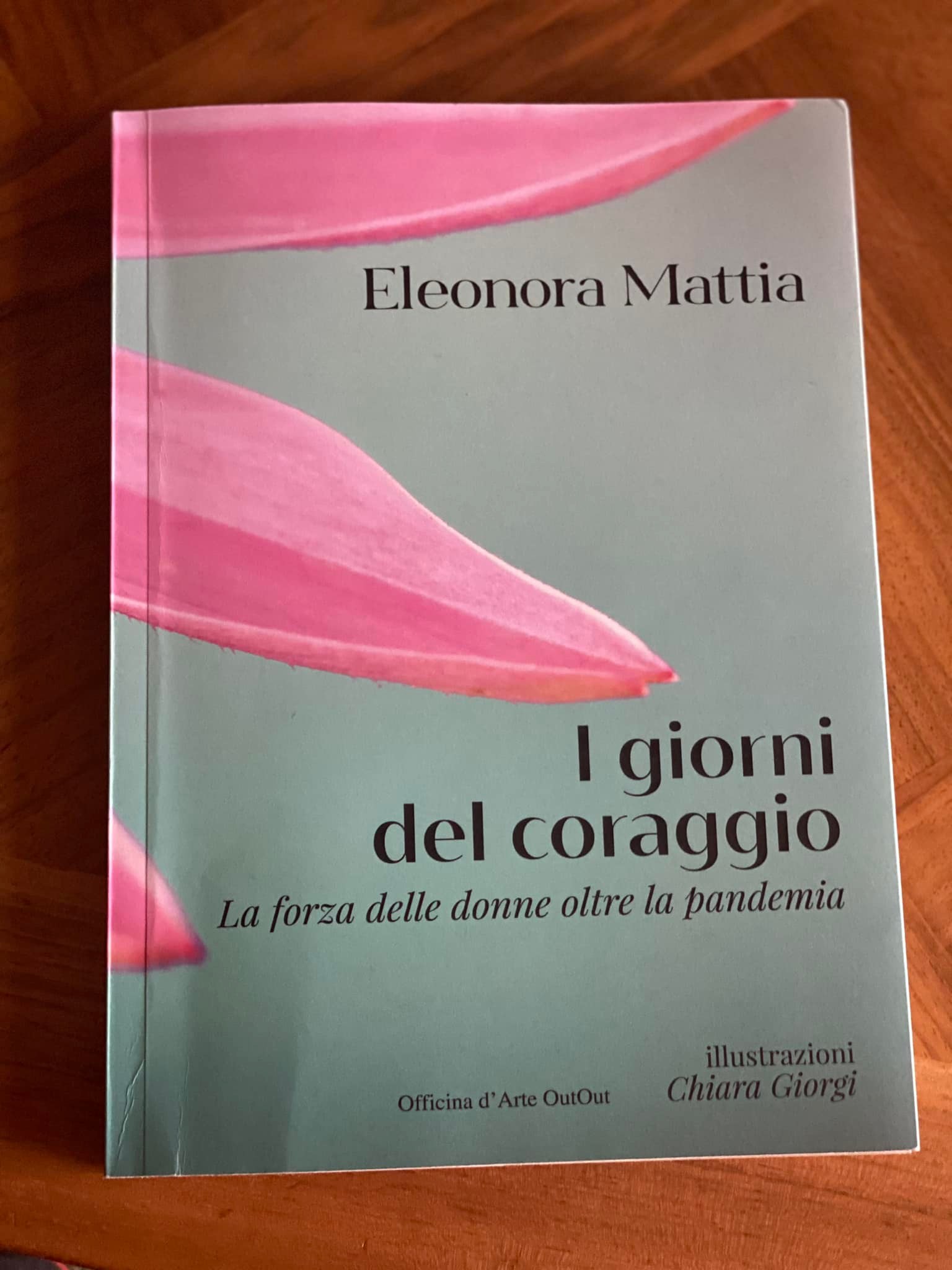 “i Giorni Della Coraggio La Forza Delle Donne Oltre La Pandemia” Il Mio Libro Uno Dei Miei 9102